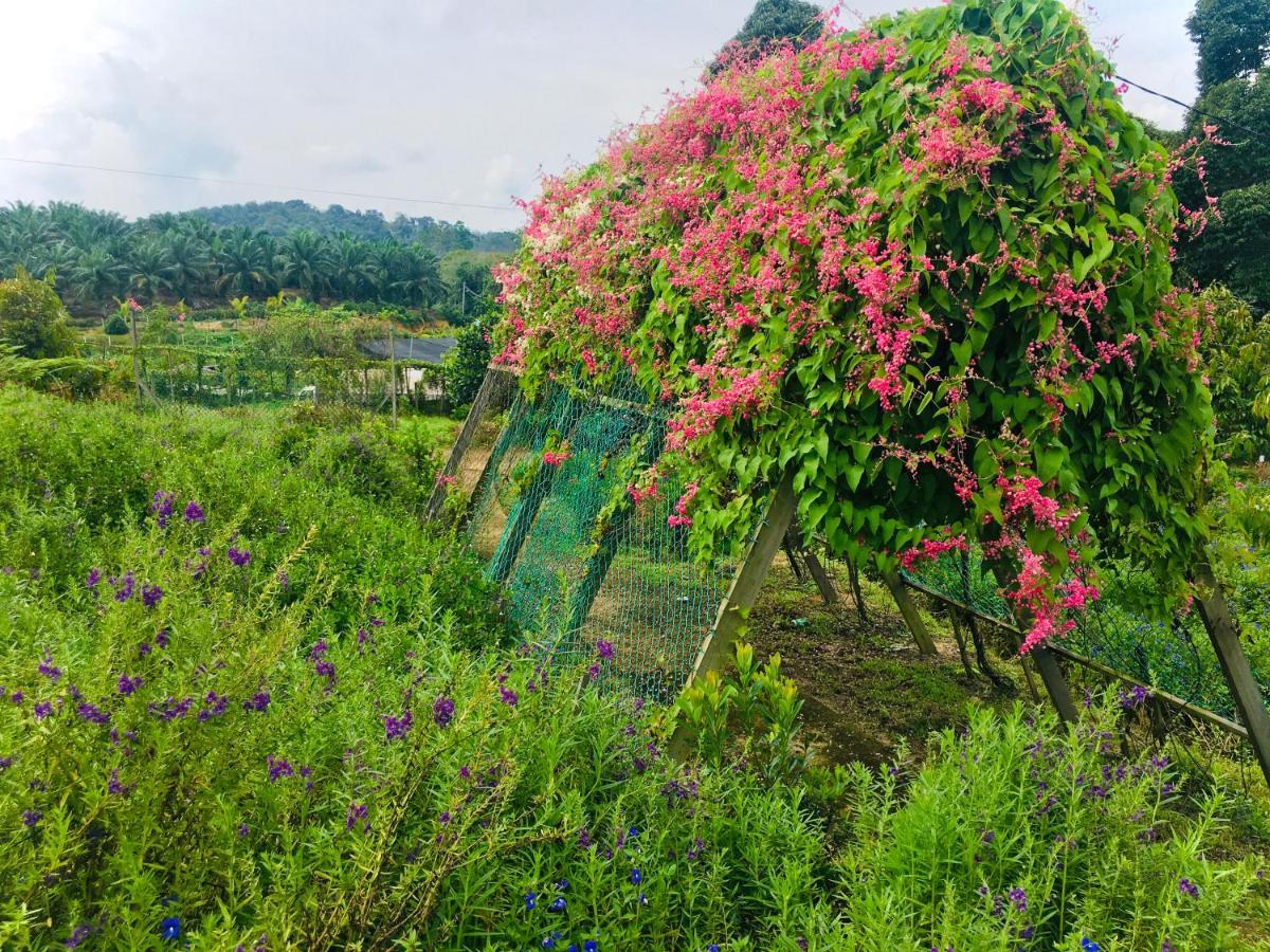 Durian Ecolodge Tampin Luaran gambar