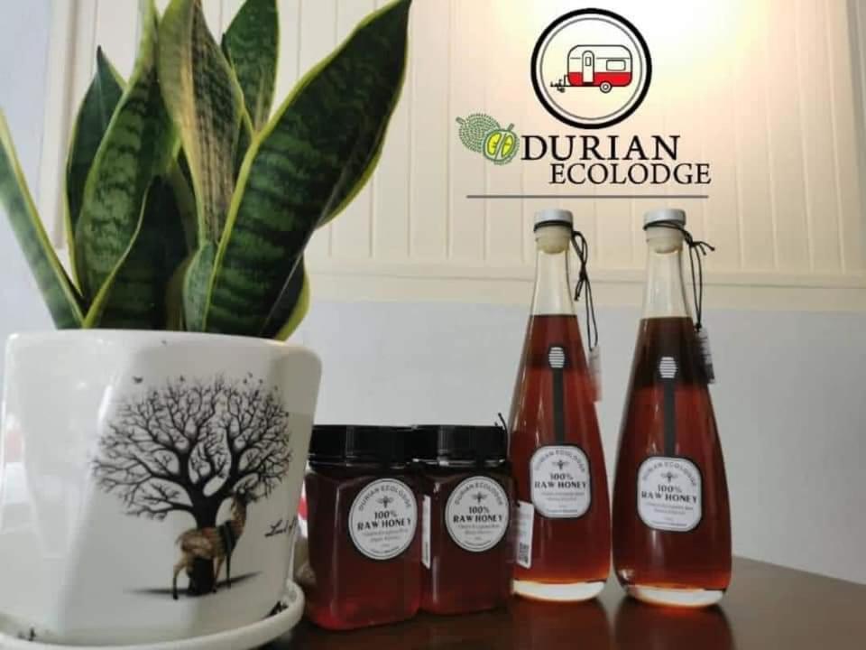 Durian Ecolodge Tampin Luaran gambar
